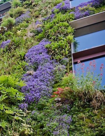 living walls and green roofs surrey and west sussex picture