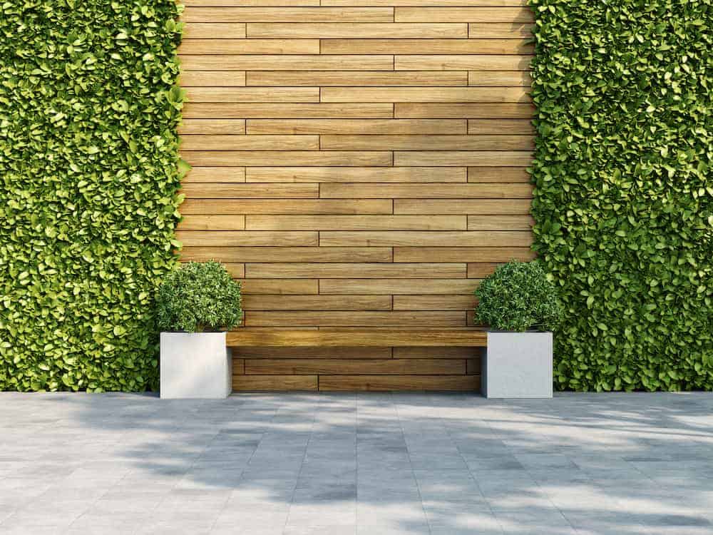 living walls image showing contemporary green wall