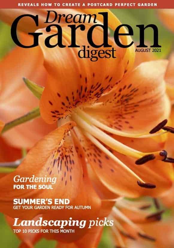 Dream Garden Digest Magazine - August 2021