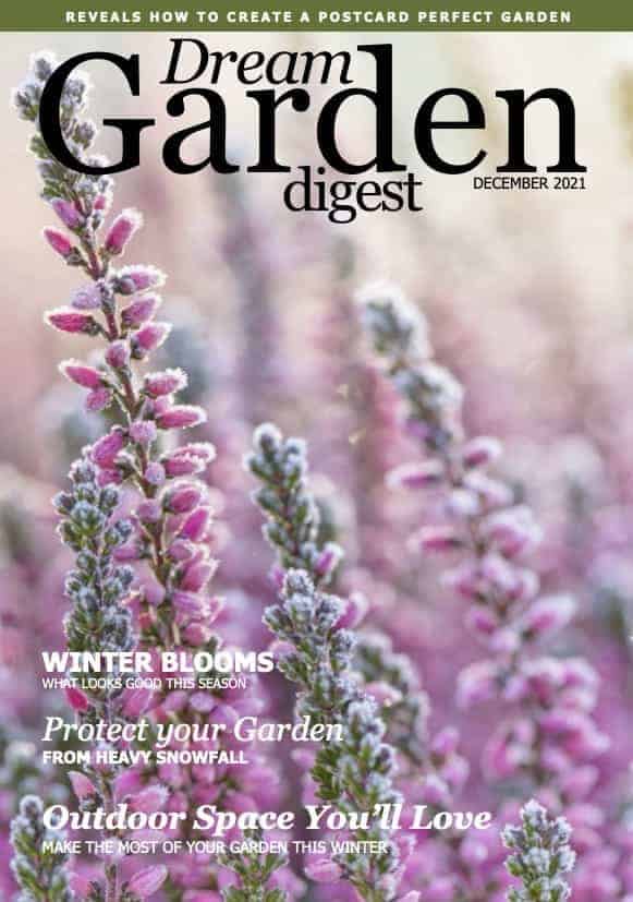 Dream Garden Digest Magazine - December 2021