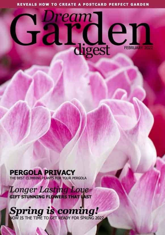 Dream Garden Digest Magazine - February 2022