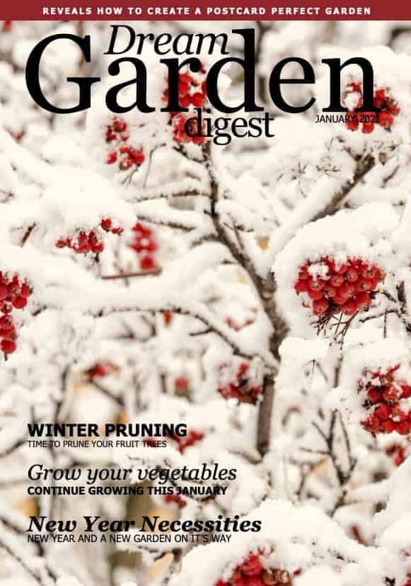 Dream Garden Digest Magazine - January 2022