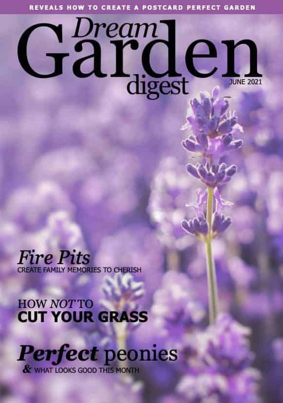Dream Garden Digest Magazine - June 2021