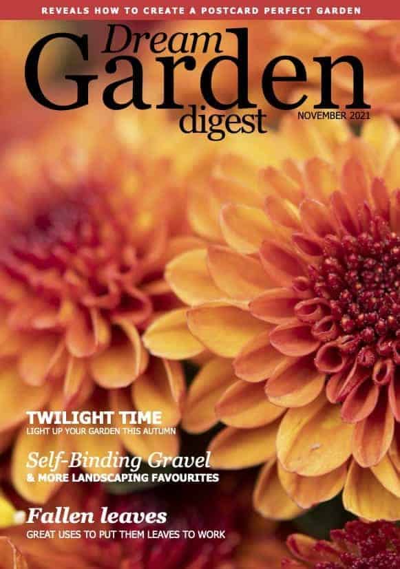 Dream Garden Digest Magazine - November 2021