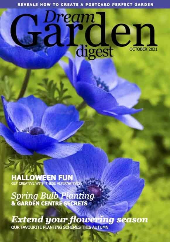 Dream Garden Digest Magazine - October 2021