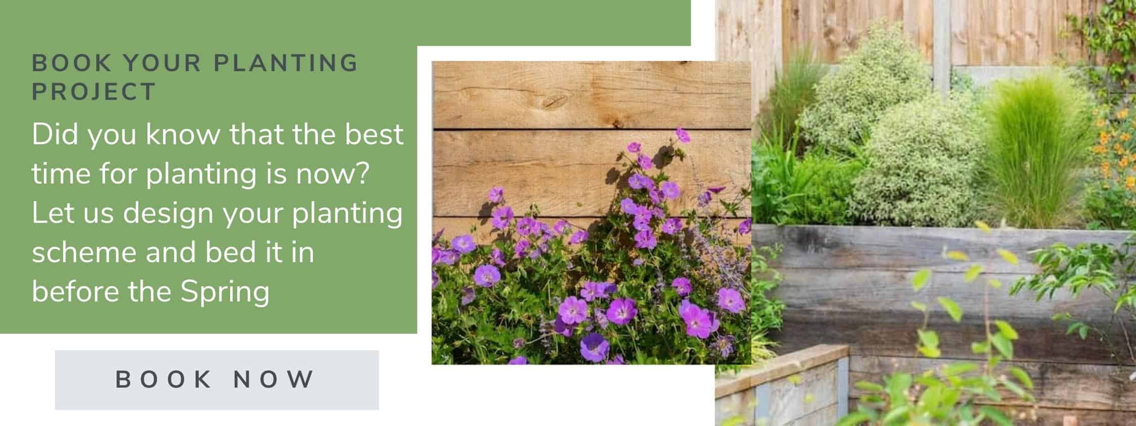 book your planting design project now