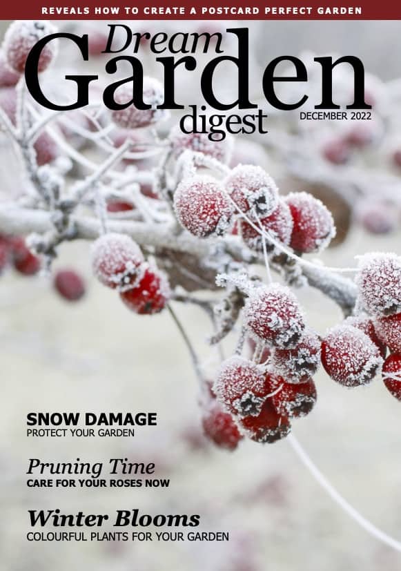 LSC DGD Magazine - December 2022 - Gardenscapes - DIGITAL LR
