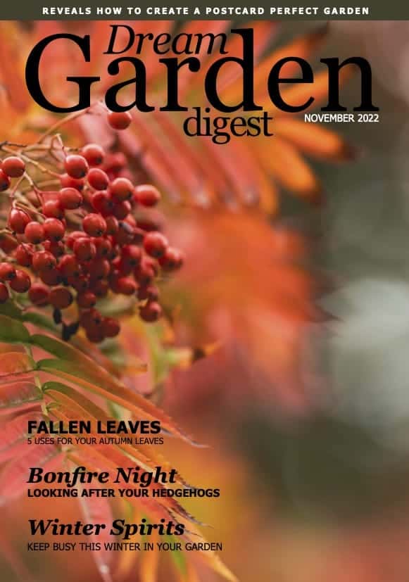 LSC DGD Magazine - November 2022 - Gardenscapes - DIGITAL LR